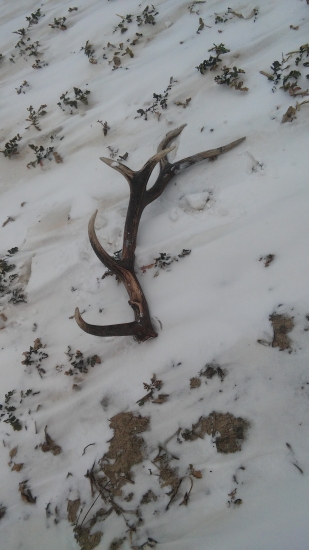 14 torák (kamarátov)