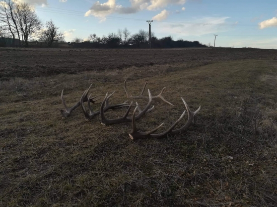 Kamarátová zbierka