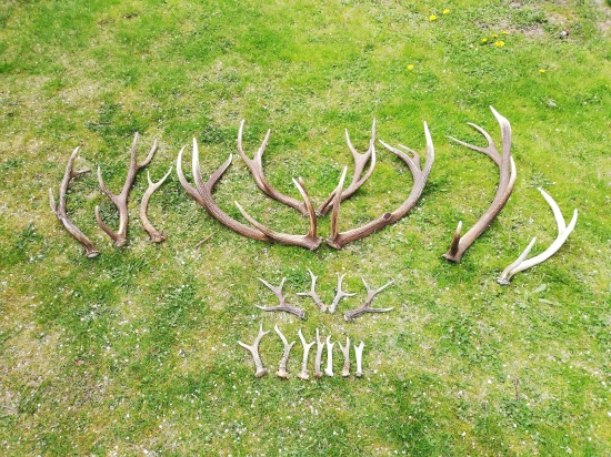 Sezóna 2019 ukončená