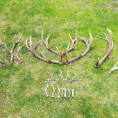 Sezóna 2019 ukončená