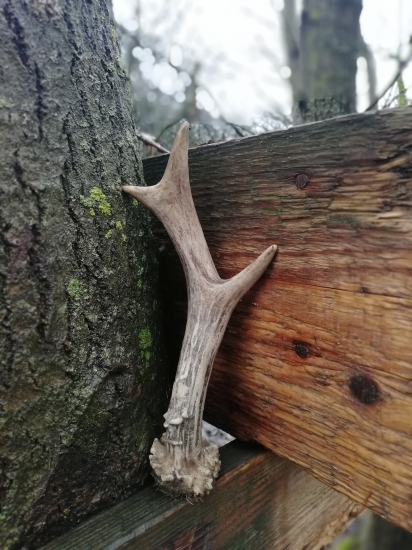 Konečne sa zadarilo