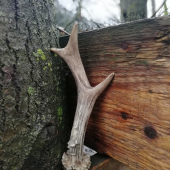 Konečne sa zadarilo