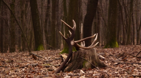 Sezóna odštartovaná ????????????