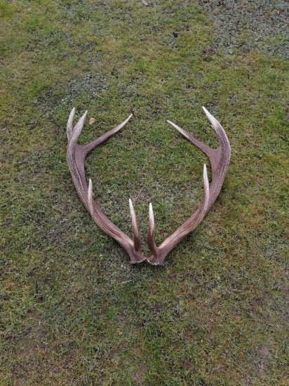 Ako sa darí vám na začiatku sezóny?