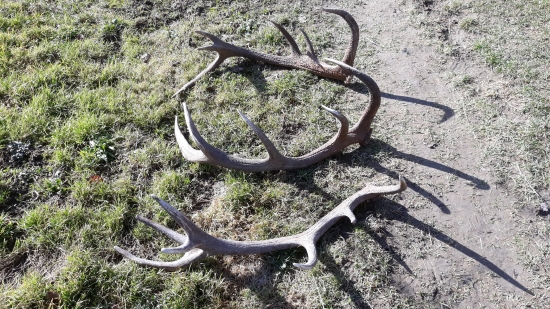 Dnešné otvorenie sezony