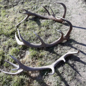 Dnešné otvorenie sezony