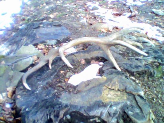 16torak na slniečku