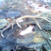 16torak na slniečku