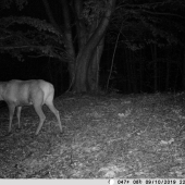 Koľko by ste mu tipli?