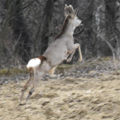Poďme spolu lietať :)