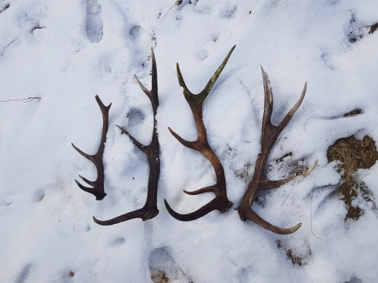 Dnešná pekná prechádzka