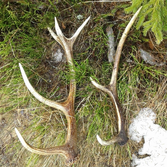 Moje prvé v živote