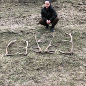 Pekná nedeľa
