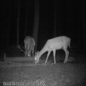 Dnešní návštěva