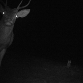 vidíš ten prísvit? vidím vidím !!