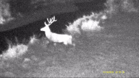 Poľovačka - Na muške_1