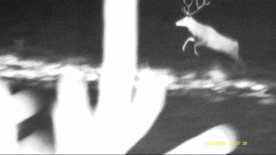 Poľovačka -Na muške 3_Únik z mušky