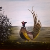 Bažant a trnkový ker