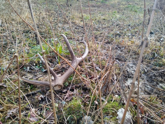 Na chodníku (8/2020)