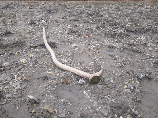 Odležaný...(9/2020)