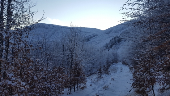 Slanské vrchy