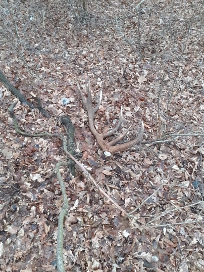 Prvý... 14torak, 3.6kg