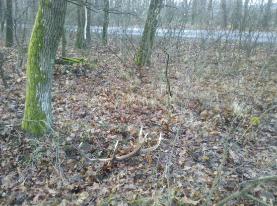 14 torak nikomu nechýbal .Pozdravujeme ..Dede