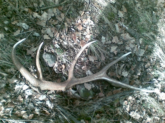 Každý jeden poteší