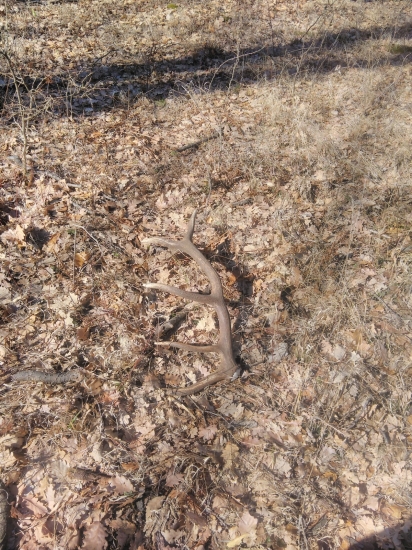 Každý jeden poteší ????