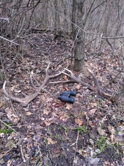 Padlo to na kopu a  jelenik má pokoj