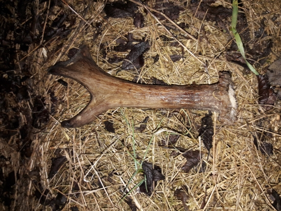 Dobré ráno Slovensko :-)