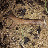 Dobré ráno Slovensko :-)