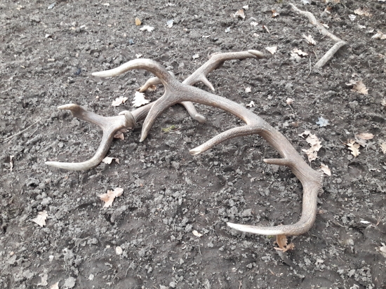 takto sme ich našli