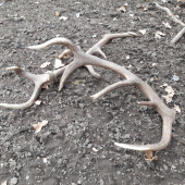 takto sme ich našli