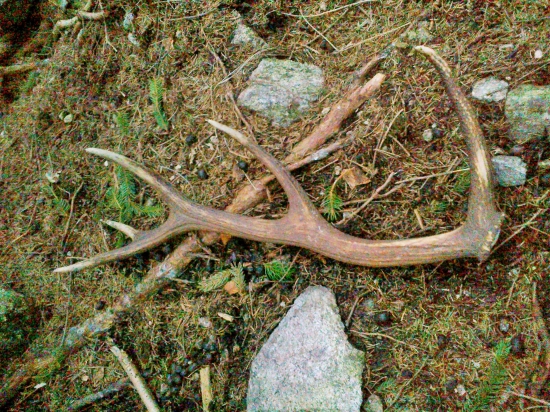 konečne sa pošťastilo