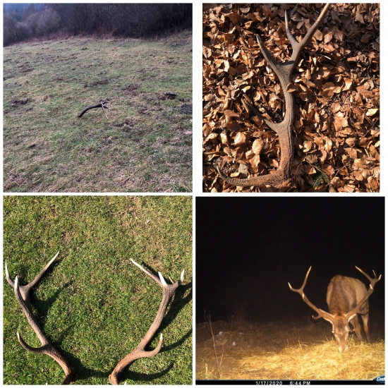 Po dvoch týždňoch spolu