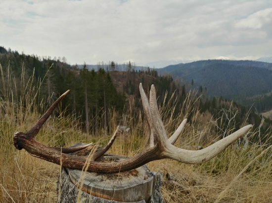 Scenéria Nízkych Tatier