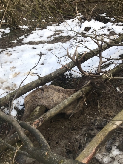 Co len Stvaral Ked tak skoncil ! Nechapem.