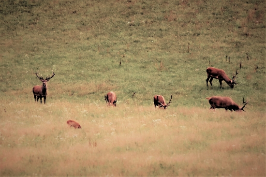 Pred rujou  treba nabrať energie...