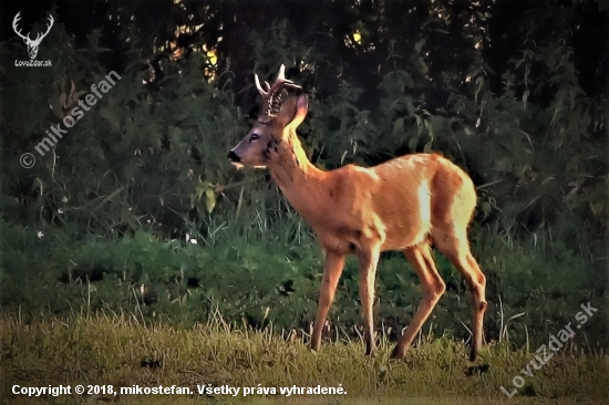 pri východe slnka