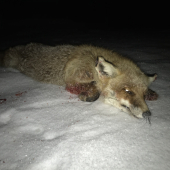 Čaro zimných večerov .....