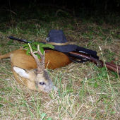 Starý pán z Rákosí