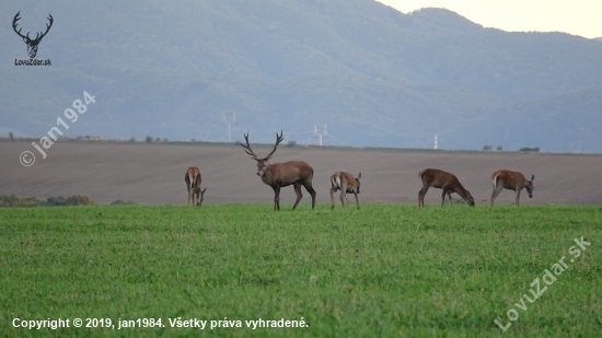 ruja 2019 foto z kamery