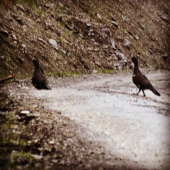 Kvalita vramci moznosti