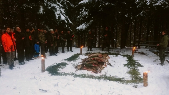 Výrad