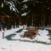 Výrad