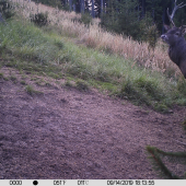 Keď sa fotka vydarí