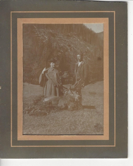 Kto ulovill jeleňa?