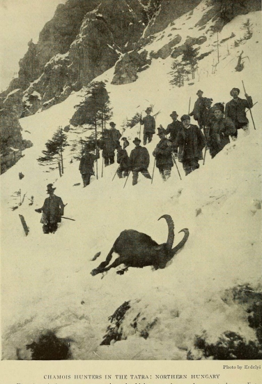 Poľovačka v Tatrách