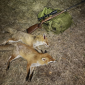 CZ 457 premium 22 LR & Fox